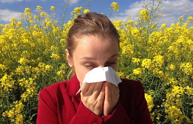 ALLERGIE IN AUMENTO: <br> COLPITO UNO SU TRE  