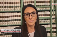 Violenza donne, al Senato focus su rapporto Onu sindrome alienazione parentale