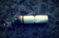 IN MEDIA 77 CICCHE <BR>  OGNI 100 METRI SPIAGGIA 