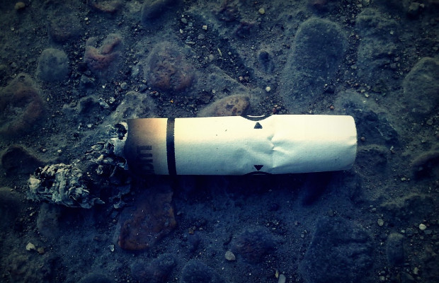 IN MEDIA 77 CICCHE <BR>  OGNI 100 METRI SPIAGGIA 