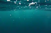 Risparmio: ci vuole piÃ¹ intelligenza sotto lâacqua