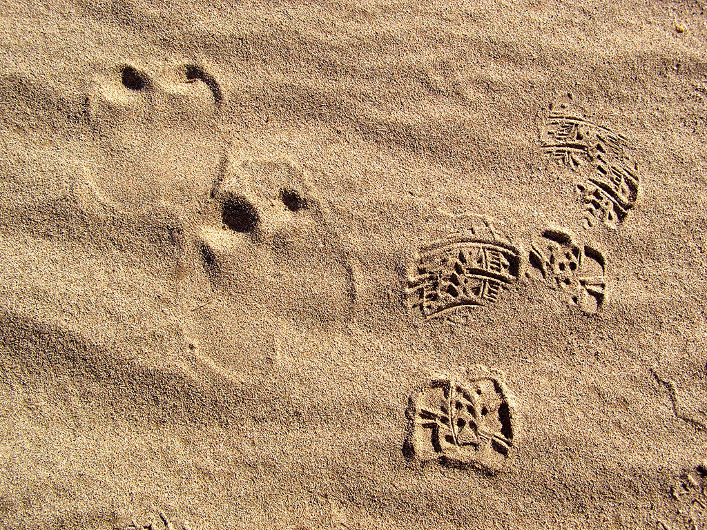 378 - Deserto Tassili-Tamanrasset