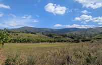 SantâAnna School leads â¬5 million project for sustainable agriculture in Mozambique