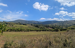 La Scuola Superiore Sant’Anna coordina progetto per l’agricoltura sostenibile in Mozambico