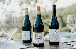 Ampeleia vola a New York e partecipa alla prima edizione di Vinous Icons: Italy