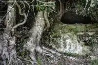 Via Francigena, sulle tracce dei pellegrini nel Lazio