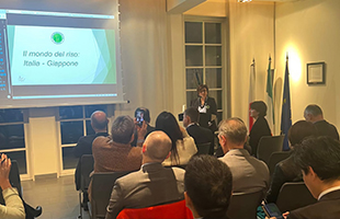 Italia e Giappone uniti dal riso