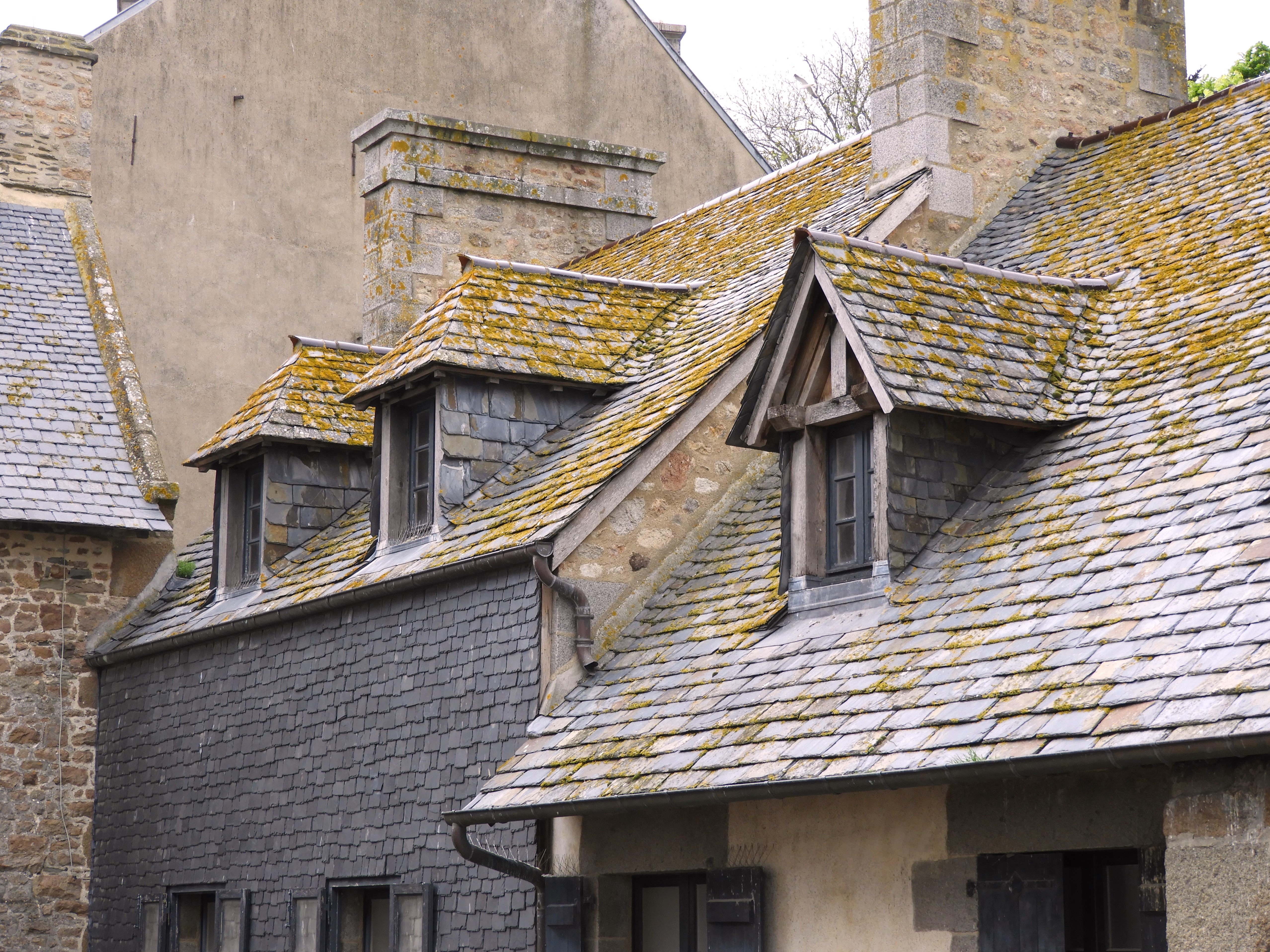 1191 - 009 - Per le strade di Mont Saint Michel - Francia