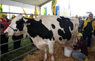 UE, PRODUZIONE DI LATTE TORNA <BR> A SALIRE: +3,5% A SETTEMBRE