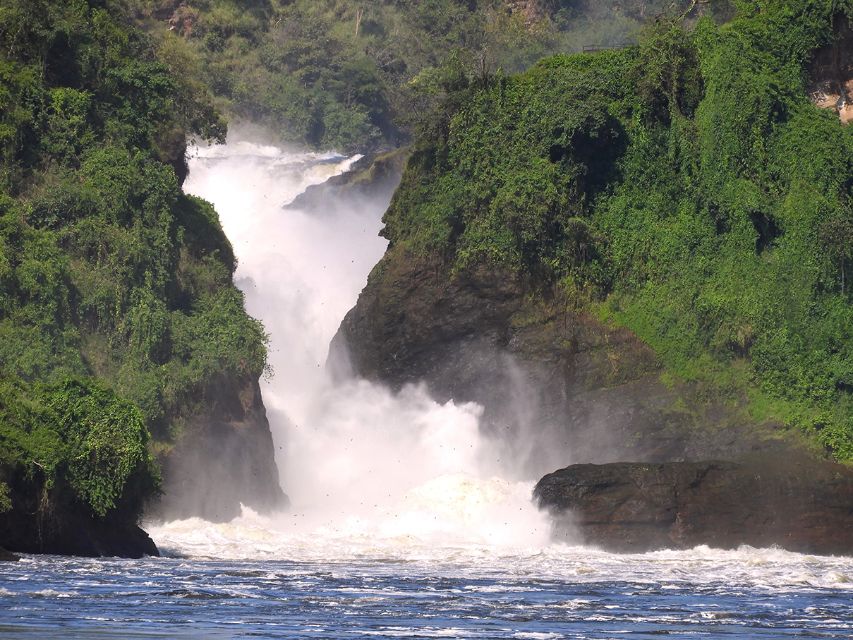 1140 - Cascate Murchison - Uganda