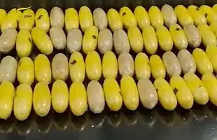 Lotta al narcotraffico <br>un copione ormai logoro