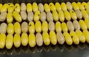 Lotta al narcotraffico <br>un copione ormai logoro