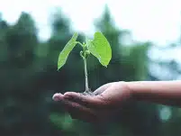 Ø¨ÙØ¦Ø©Ø Ø¥ÙØ·Ø§ÙÙØ§ ÙÙ ÙÙØ¯Ø§ ÙÙ Ø£Ø¬Ù Ø§ÙÙÙØªØ¯Ù Ø§ÙØ¹Ø§ÙÙÙ