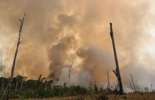 AMAZZONIA, WWF: SOLO <BR> 15 ANNI PER SALVARLA 