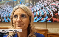 AUTISMO, MALPEZZI (PD): ORA SECONDO STEP NORMATIVO PER INCLUSIONE LAVORATIVA    