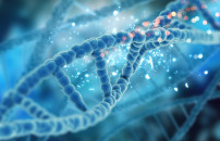 IGG4, GIORNATA MONDIALE <BR> SU VIRUS CAMALEONTE   