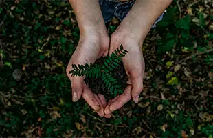 LâItalia nella Green List delle aree protette
