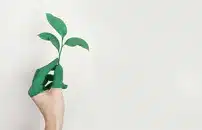 3CODESIGN: sbarca in Bulgaria la mostra su ambiente e riciclo