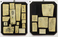 Le storie nascoste tra antichi frammenti di pelle tatuata