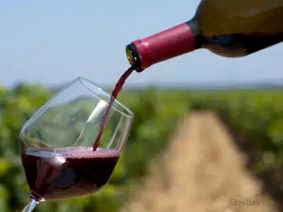 ICE, ORGANIZZATA PER NOVEMBRE UNA BORSA VINI A BRUXELLES  