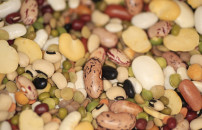 SICUREZZA ALIMENTARE, <BR> OGGI GIORNATA MONDIALE 