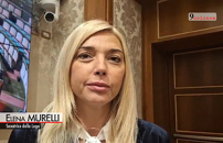 Salute, Murelli (Lega): emicranie non semplici mal di testa, inserirle nei Lea