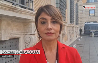 âGAZA SENZA TREGUAâ, IN SENATO RIFLETTORI SUL GENOCIDIO