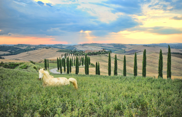 AGRITURISMI, SOGGIORNI <br> PIU' BREVI E PIUâ STRANIERI