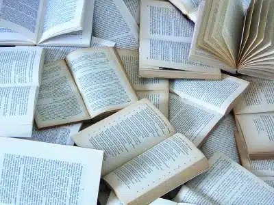 POESIA, PATRIZIA CAVALLI A BUDAPEST