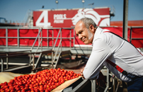 Mutti alla CNN: lâItalia guida il 70% del mercato mondiale del pomodoro in scatola