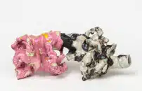 âEstinzioneâ: a Pescara le opere di Sabino de Nichilo