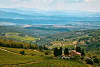 Panorami, reperti etruschi e vini tra le dolci colline del Chianti