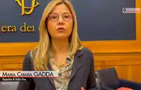 Clima, Gadda (Iv): importante analizzare legame tra democrazia e fonti fossili