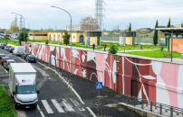 ROMA, COME VALORIZZARE IL PATRIMONIO 'VIVENTE'