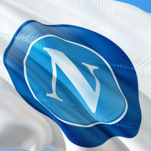Yet another coach for Napoli - to be shared with Slovakia