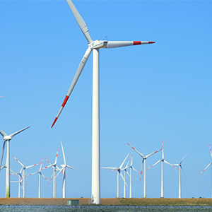 Climate: Europe leads the green transition while Italy faces challenges in soil and biodiversity