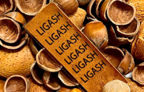 Dai gusci di mandorla una soluzione innovativa per lâelettronica green