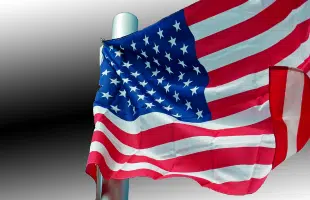 Usa, il declino <br> della politica