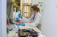 Produzione piÃ¹ efficiente e sostenibile del propilene, creato un nuovo catalizzatore