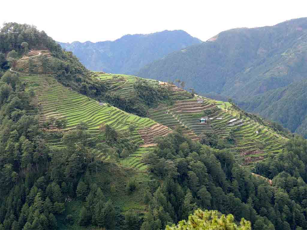 808 - Terrazze di riso a Sagada - Filippine