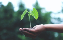 CUAMM, Eni and the Holy See unite for sustainable development