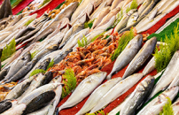 Bolton apre il suo primo Bolton Food Research & Innovation Center a Singapore