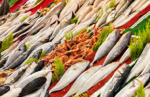 Bolton apre il suo primo Bolton Food Research & Innovation Center a Singapore