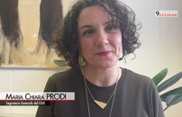 Cittadinanza, Prodi (Cgie): Riforma necessaria ma servono correttivi