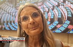 Minori, Malpezzi: ddl bipartisan per proteggere fascia 0-3 anni da dispositivi digitali    