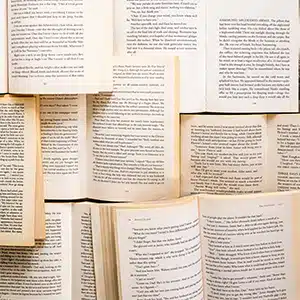 Italian book market declines as libraries receive state backing 