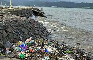Marche Polytechnic University at the forefront of international marine pollution research