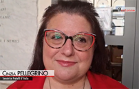 IA, PELLEGRINO (FDI): APPROFONDIRE IMPATTO SU DISAGIO GIOVANILE 