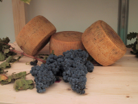 Le tradizioni contadine della Basilicata