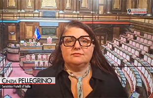 MEDIO ORIENTE, PELLEGRINO (FDI):  FORTE COLLABORAZIONE CON ARABIA SAUDITA  
